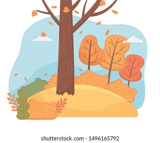 forest autumn season landscape scene