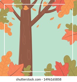 forest autumn season landscape scene