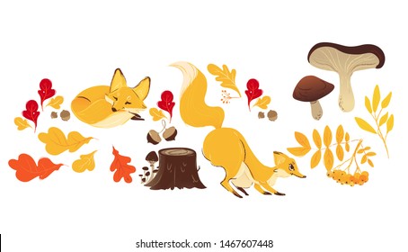 Forest autumn set of foxes, yellow and red leaves of oak and acorns, stump with mushrooms. Wildlife, autumn forest and fall nature with foxes and leaves. Isolated hand drawn vector iilustration.