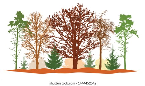Forest in autumn, silhouettes of bare tree, firs, pine and etc. Vector illustration