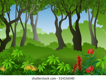 Forest background