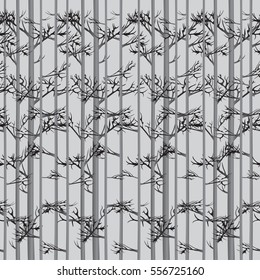 forest background