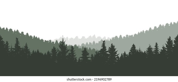 Forest background, beautiful landscape wallpaper. Silhouettes of fir trees. Vector illustration