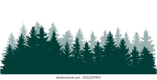 Forest background, beautiful landscape wallpaper. Silhouettes of fir trees. Vector illustration