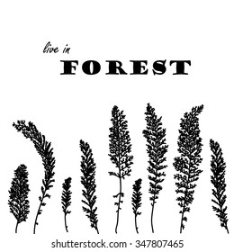 Forest background. Black tree sketch on white