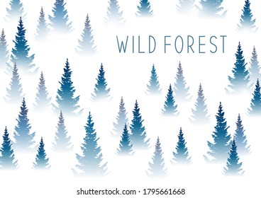 Forest background with coniferous trees - horizontal landscape for Your design 