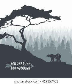 Forest background, design template with pine tree and bear silhouette, hand drawn vector illustration