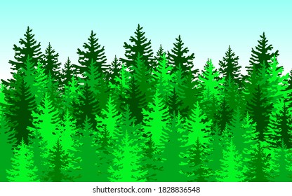 Forest background, nature, landscape. Evergreen coniferous trees. Vector.