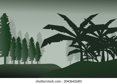 Forest background, nature, landscape. Evergreen coniferous trees. spruce, christmas tree. Silhouette vector
