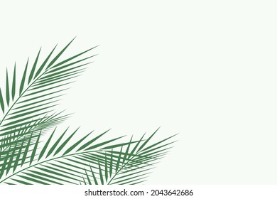 Forest background, nature, landscape. Evergreen coniferous trees. spruce, christmas tree. Silhouette vector
