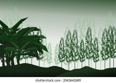 Forest background, nature, landscape. Evergreen coniferous trees. spruce, christmas tree. Silhouette vector
