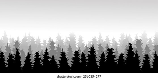 Forest background, nature, landscape. Evergreen coniferous trees. Pine, spruce, christmas tree. Silhouette vector black and white.