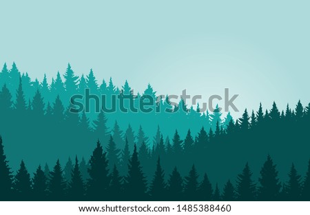 Forest background, nature, landscape. Evergreen coniferous trees. Pine, spruce, christmas tree. Silhouette vector