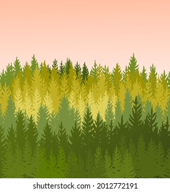 Forest background. Silhouette panorama. Red sunrise. Landscape with trees. Conifers. Beautiful view. Summer scene. Illustration vector