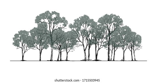 Forest background Sketch ing Vector ,Tree Drawing side view