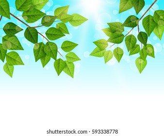 Forest background with sun light coming through the green leaves. Vector illustration. Sparkles and sunbeams