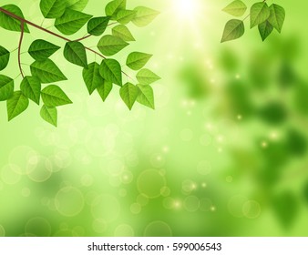 Forest background with sun light coming through the green leaves. Vector illustration. Fresh spring foliage, sparkles and sunbeams, pollen in the air