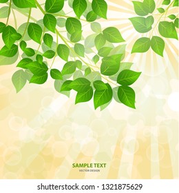 Forest background with sunlight coming through the green leaves. Green background with fresh spring foliage, sparkles and sunbeams. Young leaves in the rays of spring dawn. Close-up. - Vector graphics