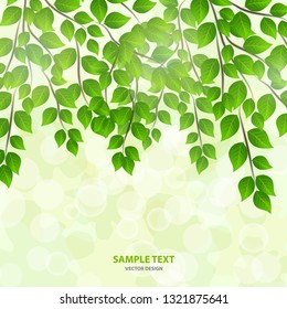 Forest background with sunlight coming through the green leaves. Green background with fresh spring foliage, sparkles and sunbeams. Young leaves in the rays of spring dawn. Close-up. - Vector graphics