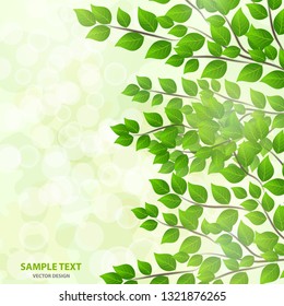 Forest background with sunlight coming through the green leaves. Green background with fresh spring foliage, sparkles and sunbeams. Young leaves in the rays of spring dawn. Close-up. - Vector graphics