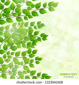 Forest background with sunlight coming through the green leaves. Green background with fresh spring foliage, sparkles and sunbeams. Young leaves in the rays of spring dawn. Close-up. - Vector graphics