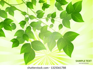 Forest background with sunlight coming through the green leaves. Green background with fresh spring foliage, sparkles and sunbeams. Young leaves in the rays of spring dawn. Close-up. - Vector graphics