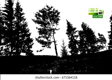 forest background. Vector