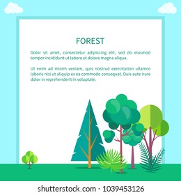 Forest banner with pines, green trees and bushes, unspoiled nature concept. Vector illustration of woodland with place for text, untouched countryside