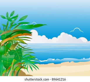 Forest and beach