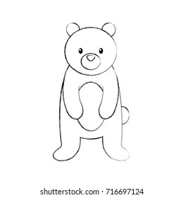 forest bear animal predator wild mammal