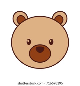 forest bear animal predator wild mammal
