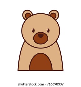 forest bear animal predator wild mammal