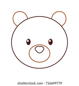 forest bear animal predator wild mammal