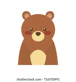 forest bear animal predator wild mammal