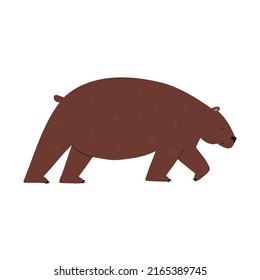 forest bear hand drawn in flat style. baby illustration