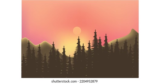 forest with the beauty sky and moon