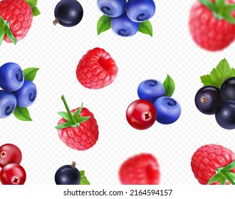 Forest berries background Vector illustration of raspberry, black currant, blueberry, cranberry. Ralistic blurred falling Berry fruit.