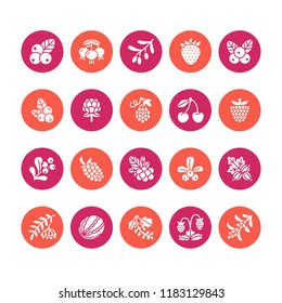 Forest berries colored flat glyph icons - blueberry, cranberry, raspberry, strawberry, cherry, rowan berry blackberry. Watermelon, grapes, olives silhouette illustrations for natiral food store.