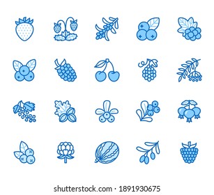 Forest berries flat line icons - blueberry, cranberry, raspberry, strawberry, cherry, rowan. Watermelon, grapes, olives illustrations for natiral food store. Blue color, Editable Stroke.