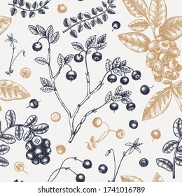 Forest berries and flowers seamless pattern. Hand drawn berry fruits - cranberry, cowberry, blueberry, bilberry illustrations. Vintage berries background. Healthy food elements. Botanical backdrop.