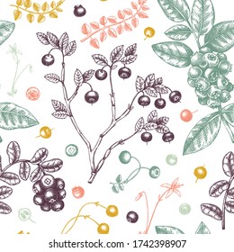 Forest berries and flowers seamless pattern. Hand drawn berry fruits - cranberry, cowberry, blueberry, bilberry illustrations. Vintage berries background. Healthy food elements. Botanical backdrop.