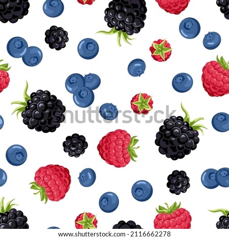 Forest berries seamless pattern. Vector illustration of raspberry, blackberry, blueberry. Berry fruit background. Cartoon flat style.