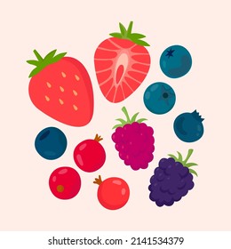 Forest berries set. Strawberries, raspberries, blackberries, currants, blueberries.  Flat vector illustration in cartoon style. Isolated 