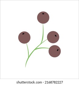 Bayas forestales. Ilustración vectorial aislada en fondo blanco.