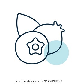Forest berry sign. Blueberry vector icon. Graph symbol for food and drinks web site, apps design, mobile apps and print media, logo, UI