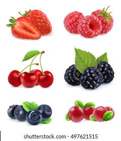 Forest berry. Sweet fruit. Realistic illustration. 3d vector icon set