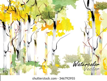 Forest Birch Trees  Vector Watercolor Brush Hand Drawn ,vector Illustration