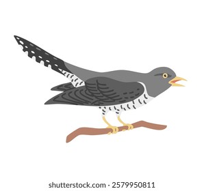 Forest bird cuckoo. Flying feathered. Animals, nature and ornithology. Cartoon vector illustration isolated on white background