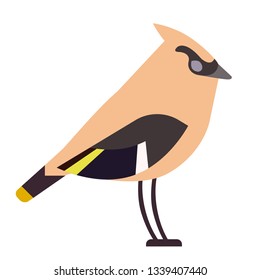 forest bird flat illustration isolated on white. Forest animals series