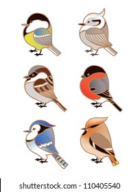 Forest birds